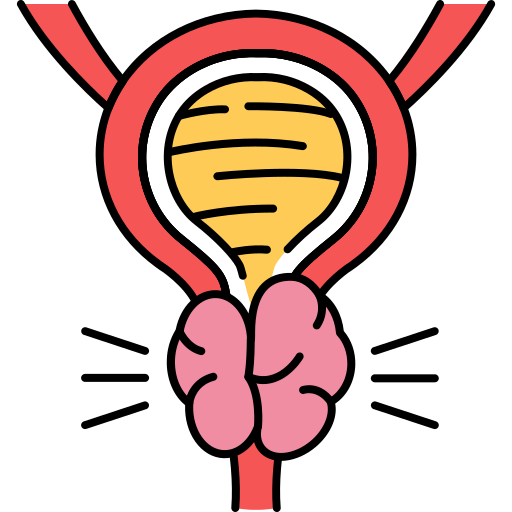 prostate