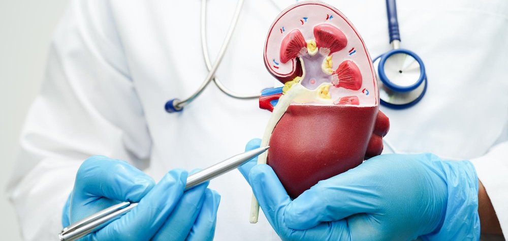 urology female surgeon guntur